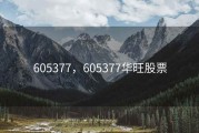 605377，605377华旺股票