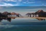 600888，600888主营业务