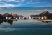 160314，160314基金今天净值