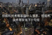 挖掘机技术哪家强什么意思，挖掘机技术哪家强下一句是