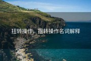 扭转操作，扭转操作名词解释