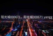 阳光城000671，阳光城000671 yanggo