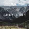 东百集团，东百集团