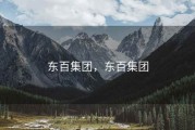 东百集团，东百集团
