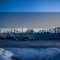 300042股票，300044股价