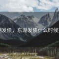 东湖发债，东湖发债什么时候交易