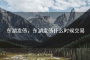 东湖发债，东湖发债什么时候交易