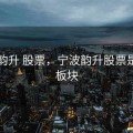 宁波韵升 股票，宁波韵升股票是什么板块