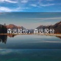 森远股份，森远股份