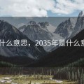 2035什么意思，2035年是什么意思啊