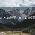 002375股票，002377股票