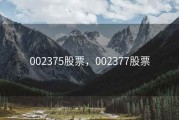 002375股票，002377股票