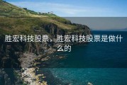 胜宏科技股票，胜宏科技股票是做什么的