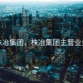 株冶集团，株冶集团主营业务