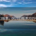002223股票，002223股票2025年分红