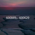 600889，600629