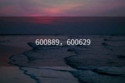 600889，600629