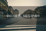 600133股票，600313的股价