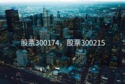 股票300174，股票300215
