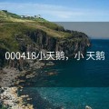 000418小天鹅，小 天鹅