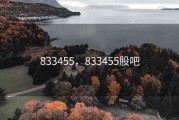 833455，833455股吧