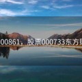 股票000861，股票000733东方财富网