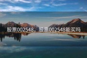 股票002548，股票002548能买吗