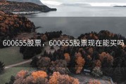 600655股票，600655股票现在能买吗