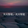 天元智能，天元智能