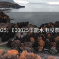 600025，600025华能水电股票股吧