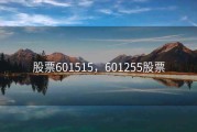 股票601515，601255股票