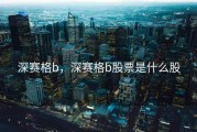 深赛格b，深赛格b股票是什么股