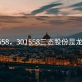 301558，301558三态股份是龙头吗