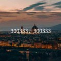 300333，300333