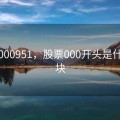 股票000951，股票000开头是什么板块
