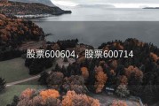 股票600604，股票600714
