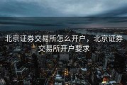 北京证券交易所怎么开户，北京证券交易所开户要求