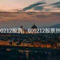 600212股票，600212股票热门