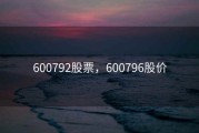600792股票，600796股价