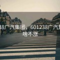 601238广汽集团，601238广汽集团为啥不涨