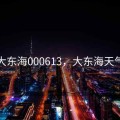 大东海000613，大东海天气