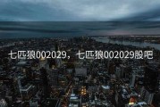七匹狼002029，七匹狼002029股吧