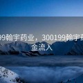 300199翰宇药业，300199翰宇药业资金流入