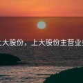 上大股份，上大股份主营业务