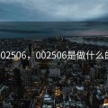 002506，002506是做什么的