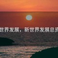 新世界发展，新世界发展总资产