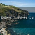 投资外汇，投资外汇公司