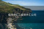 投资外汇，投资外汇公司