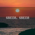 688338，688338