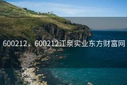 600212，600212江泉实业东方财富网